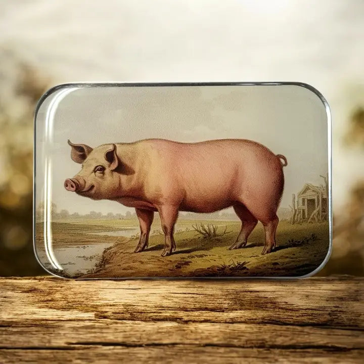 Firefly Notions Storage Tin