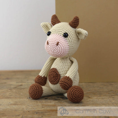 Hardicraft Crochet Kit