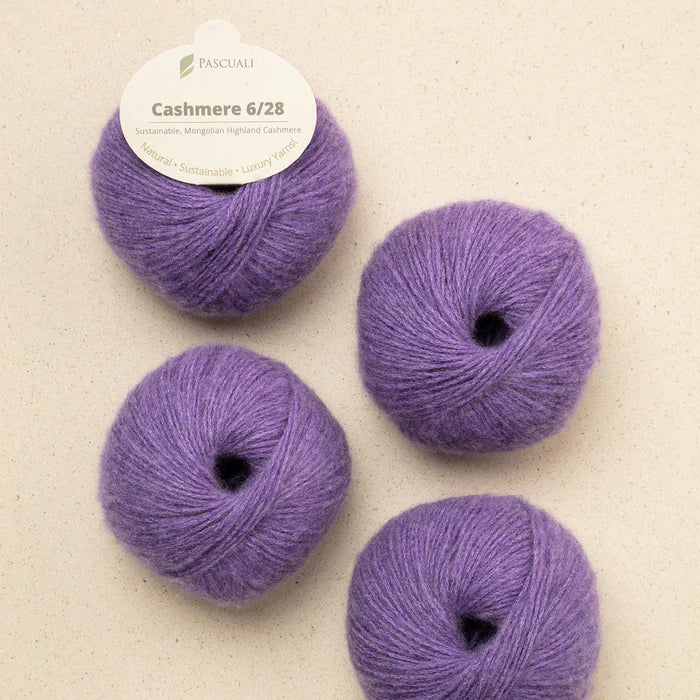 Pascuali Cashmere 6/28
