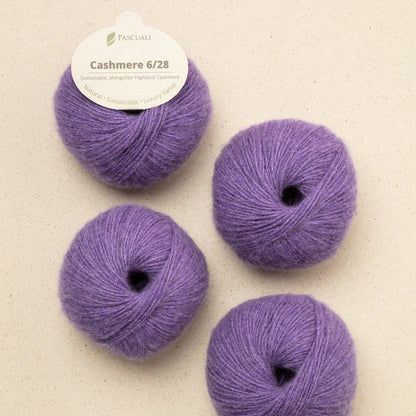 Pascuali Cashmere 6/28
